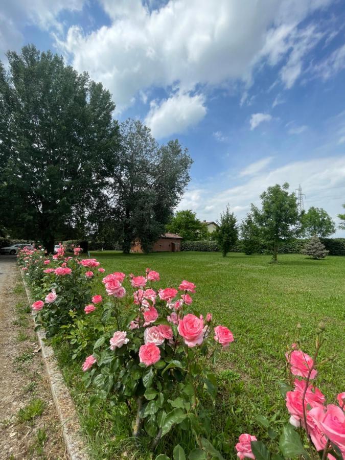 Malamu Eventi Bed & Breakfast *
