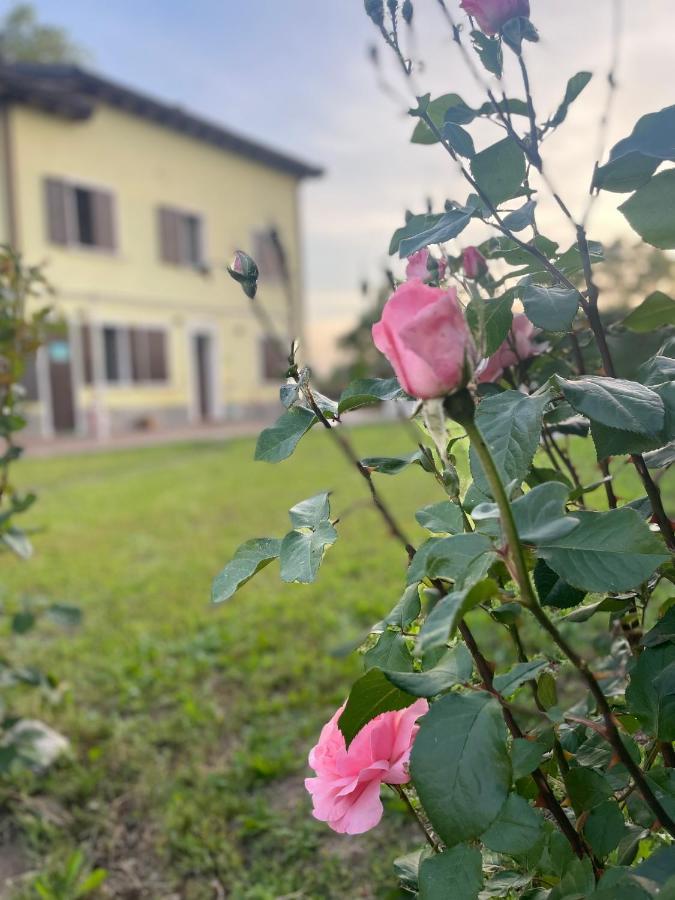 Malamu Eventi