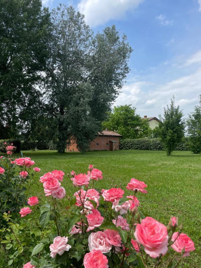 Malamu Eventi Rigosa