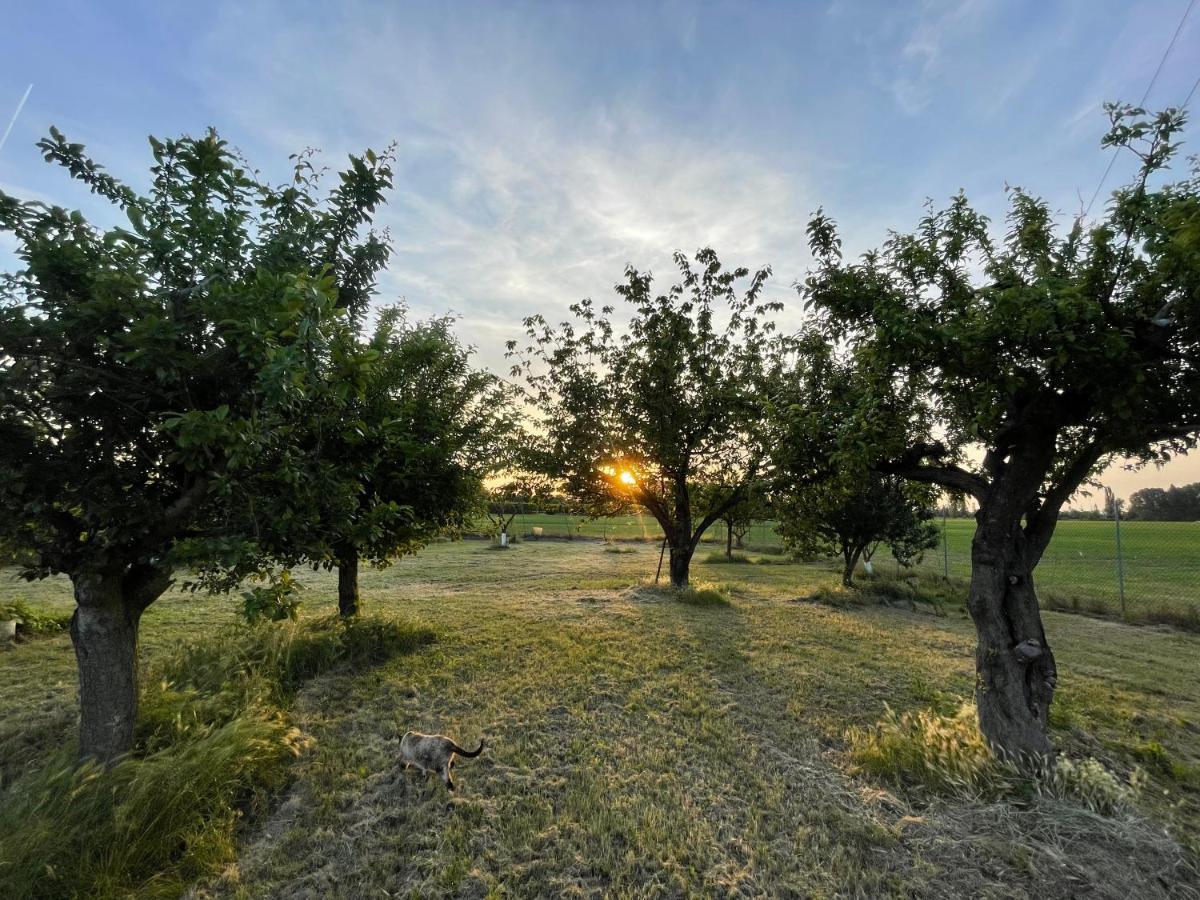 Bed & Breakfast Malamu Eventi