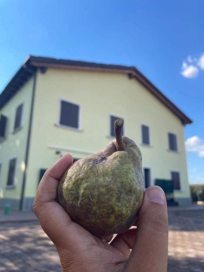 Malamu Eventi Bed & Breakfast *